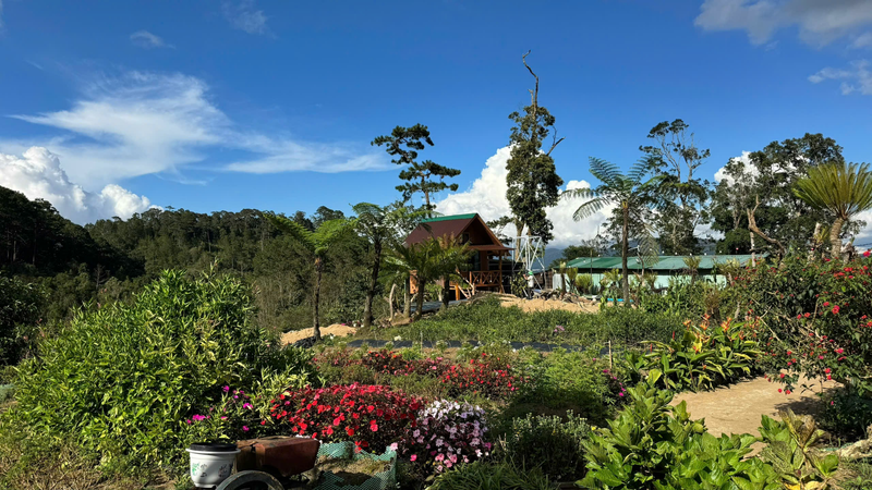 Tour 2N1Đ Trải nghiệm Sâm Ngọc Linh - Tu Mơ Rông  (12)